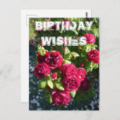 レッドローズフラワーガーデンフローラハッピーバースデー ポストカード (正面/裏面)