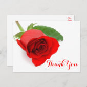 レッドローズフラワーサンキューフローラ ポストカード (正面/裏面)