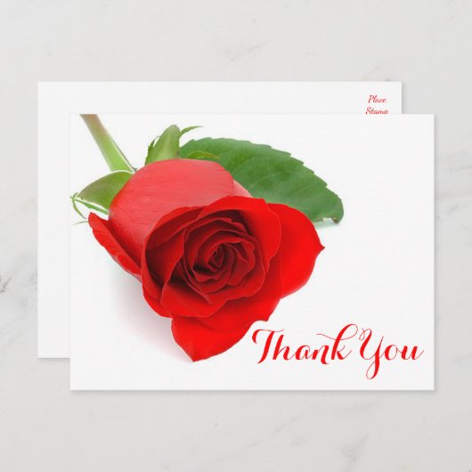 レッドローズフラワーサンキューフローラ ポストカード (正面/裏面)