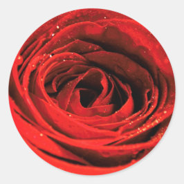 レッドローズフラワーシートバレンタイン ラウンドシール