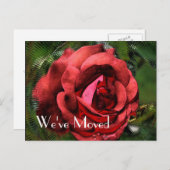 レッドローズフラワーデザインニューアドレス 案内ポストカード (正面/裏面)