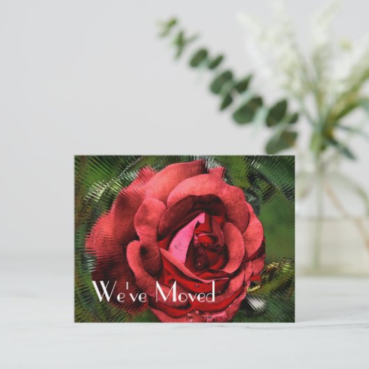 レッドローズフラワーデザインニューアドレス 案内ポストカード (スタンド正面)