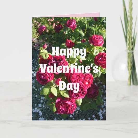 レッドローズフラワーフローラヴィンテージバラバレンタイン カード (正面)