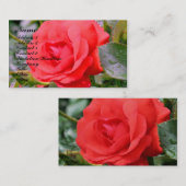 レッドローズフラワー自然プロファイル名刺 名刺 (正面/裏面)
