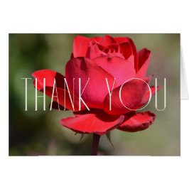 レッドローズフローラありがとう