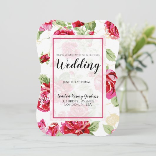 レッドローズフローラクラシックプリントドッグの名誉アナウンス 案内状 (スタンド正面)