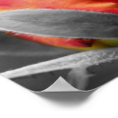 レッドローズブドパーシャルカラー鏡抽象芸術 ポスター (角)