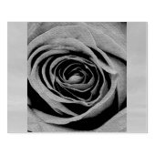 レッドローズブド ラバースタンプ (インプリント)