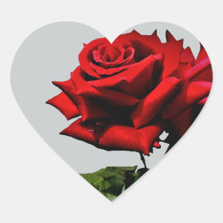 レッドローズブロッサムフラワー誕生日ホリデーズイベント ハートシール