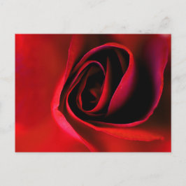 レッドローズプリントはがき シーズンポストカード