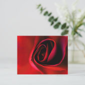 レッドローズプリントはがき シーズンポストカード (スタンド正面)