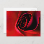 レッドローズプリントはがき シーズンポストカード (正面/裏面)