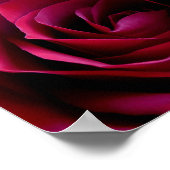 レッドローズポスタープリントビューティフルフラワーアートプリント ポスター (角)