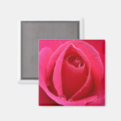 レッドローズマグネットピンクのローズギフト記念デカール マグネット (正面/裏面)