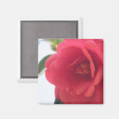 レッドローズマグネット マグネット (正面/裏面)