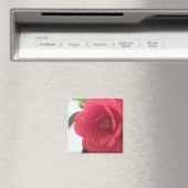 レッドローズマグネット マグネット (インサイチュ (食洗機))