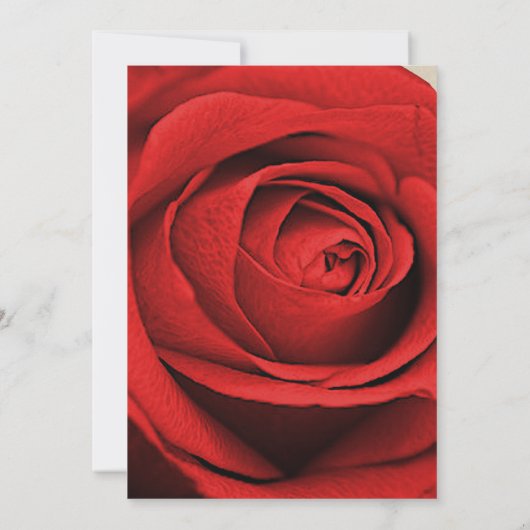 レッドローズモダンクラフト素朴グラムエレガントな結婚式 招待状 (裏面)