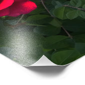 レッドローズロザリウム フォトプリント            (角)