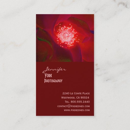 レッドローズ写真名刺 名刺 (裏面)