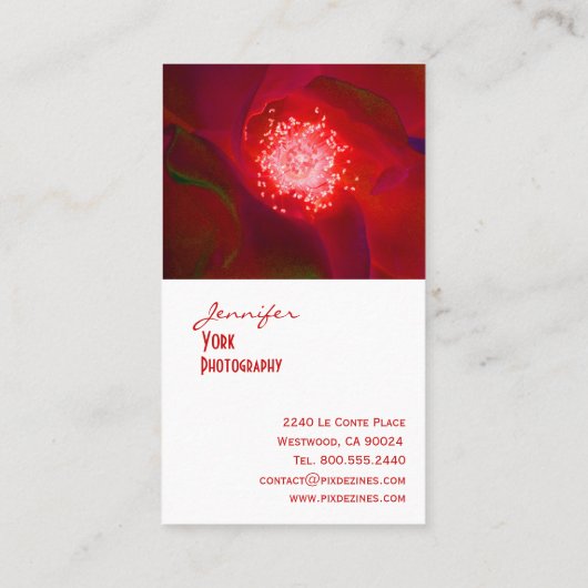 レッドローズ写真名刺 名刺 (裏面)