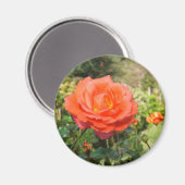 レッドローズ磁石 マグネット (正面/裏面)