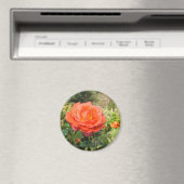 レッドローズ磁石 マグネット (インサイチュ (食洗機))