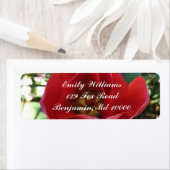 レッドローズ美しい ラベル (インサイチュ)