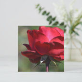 レッドローズ誕生日 招待状 (スタンド正面)