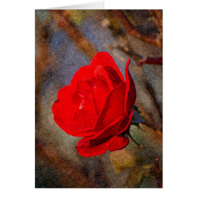 レッドローズ (正面)