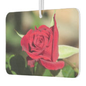 レッドローズ カーエアーフレッシュナー (左)