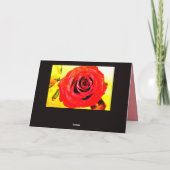 レッドローズ カード (裏面)