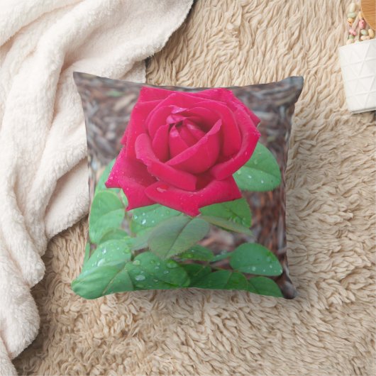 レッドローズ クッション (ブランケット)