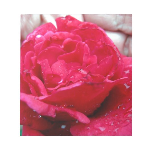 レッドローズ ノートパッド (正面)