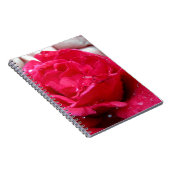 レッドローズ ノートブック (右側)