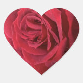 レッドローズ ハートシール (正面)
