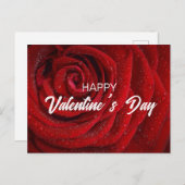 レッドローズ、バレンタイン ポストカード (正面/裏面)