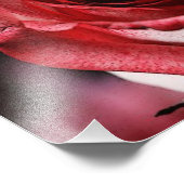 レッドローズ フォトプリント            (角)