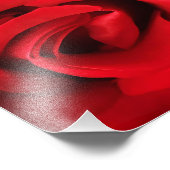 レッドローズ フォトプリント            (角)