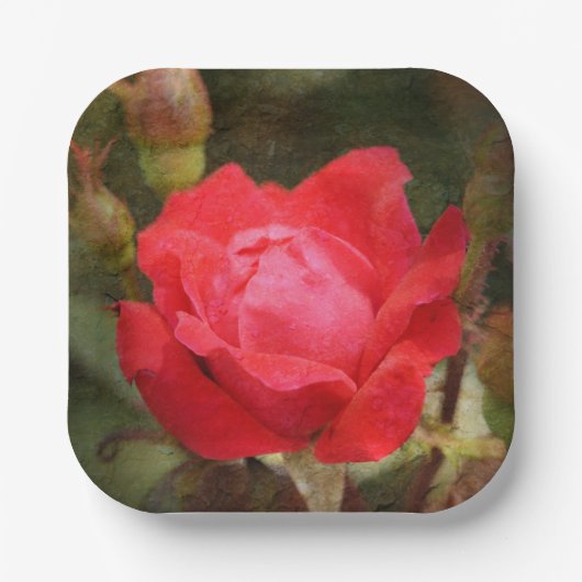 レッドローズ ペーパープレート (正面)