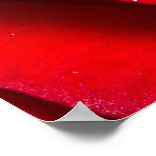 レッドローズ ポスター (角)