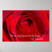 レッドローズ ポスター (正面)