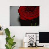 レッドローズ ポスター (ホームオフィス)