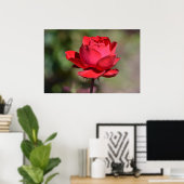 レッドローズ ポスター (ホームオフィス)