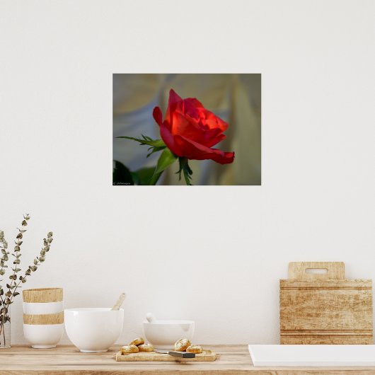 レッドローズ ポスター (キッチン)