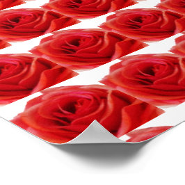 レッドローズ ポスター