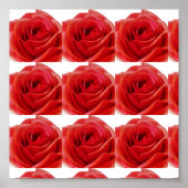 レッドローズ ポスター (正面)