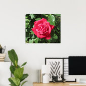 レッドローズ ポスター (ホームオフィス)