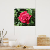 レッドローズ ポスター (キッチン)