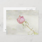 レッドローズ ポストカード (正面/裏面)