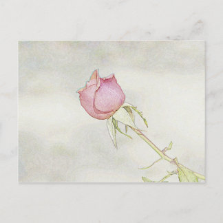 レッドローズ ポストカード